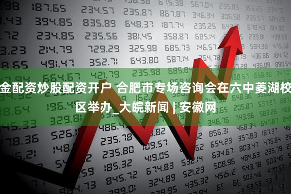 金配资炒股配资开户 合肥市专场咨询会在六中菱湖校区举办_大皖新闻 | 安徽网
